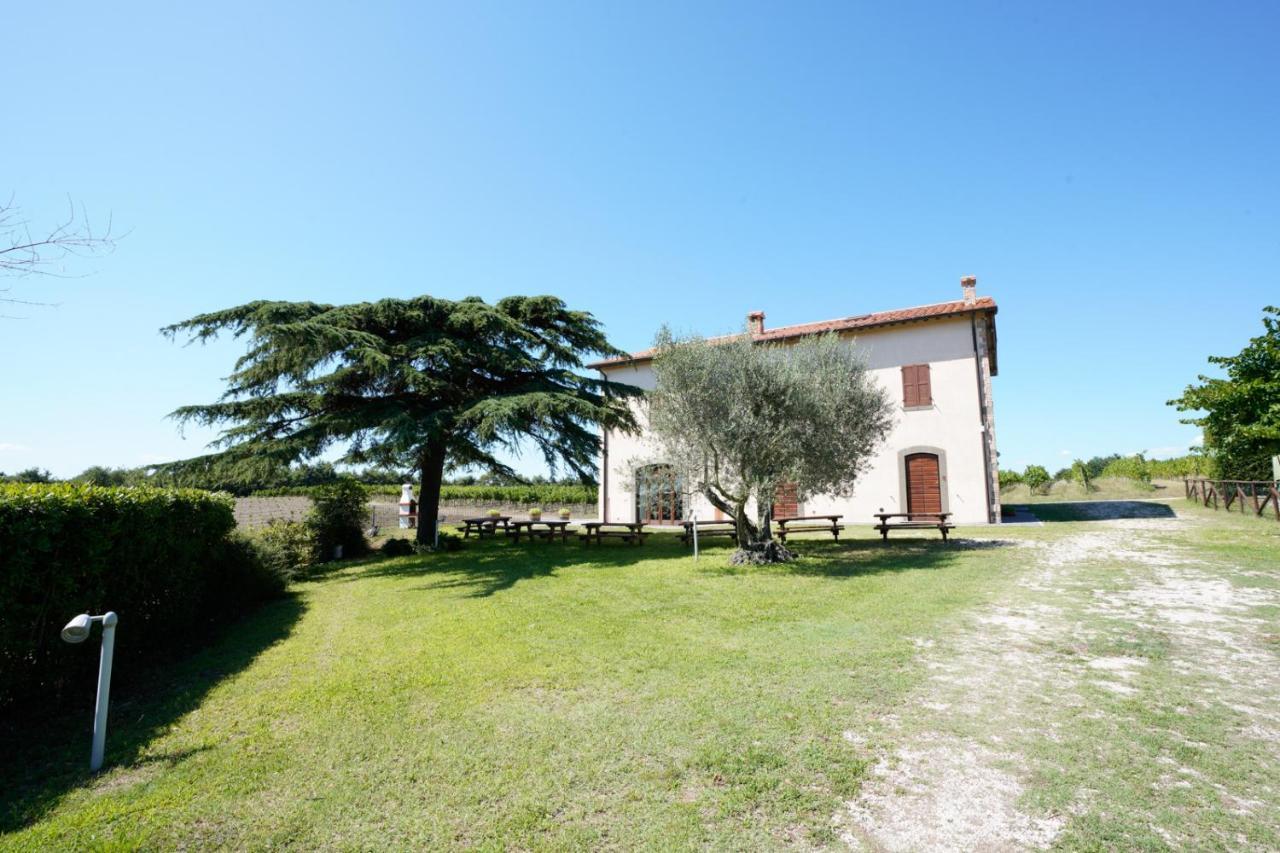 Agriturismo Vigna Sul Lago 몬테피아스콘 외부 사진