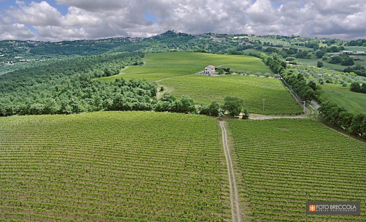 Agriturismo Vigna Sul Lago 몬테피아스콘 외부 사진